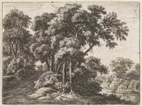 TvB G 3408
<br/>
De rustige boslaan
<br/>
<em>Waterloo, Anthonie, (1609-1690)</em>